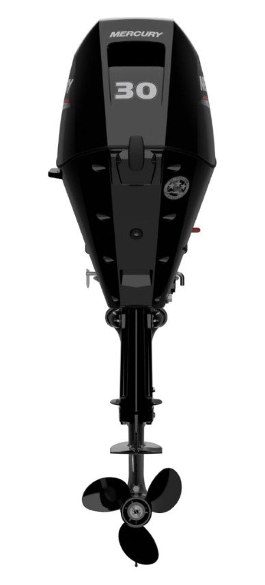 Mercury F 30 EFI