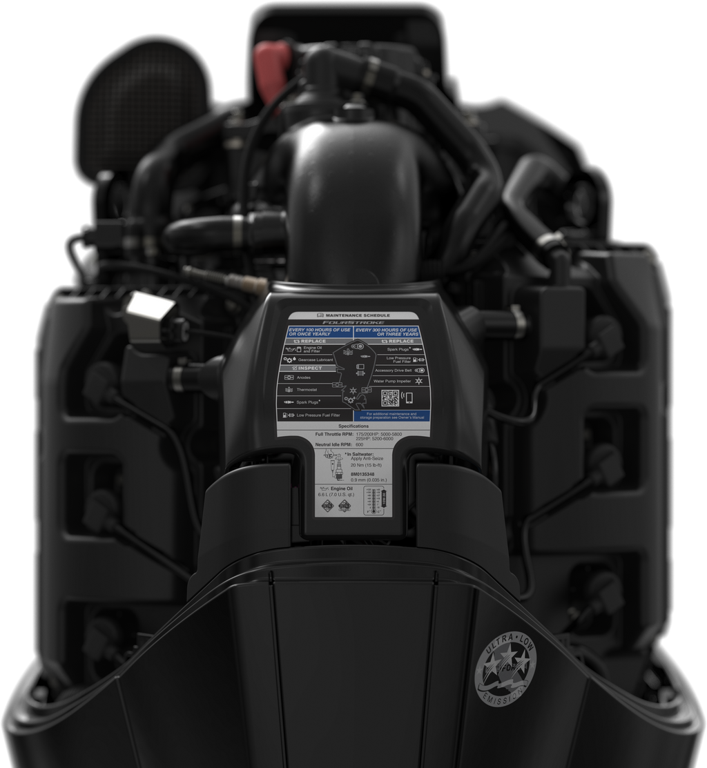 Mercury F175 V6 Pro XS